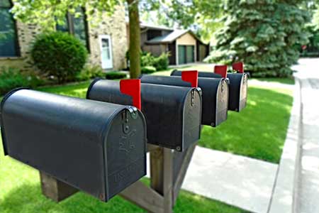 Newsletter Newsletter