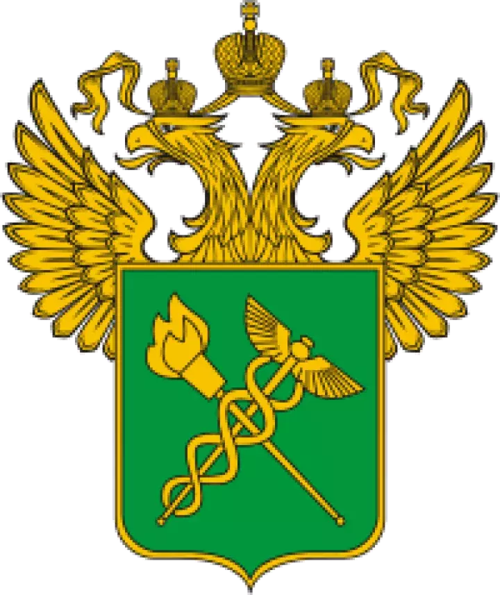 Zollanmeldung, Zollabfertigung, Zoll Russland, Export nach Russland