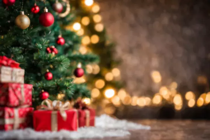 Den Blick auf Morgen gerichtet: Ein Rückblick auf 2024