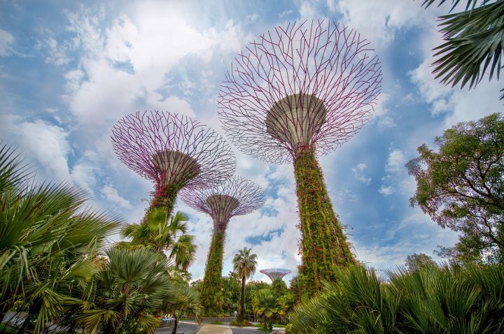 Singapur bereitet die Einführung einer elektronischen Online-Apostille vor Singapur bereitet die Einführung einer elektronischen Online-Apostille vor