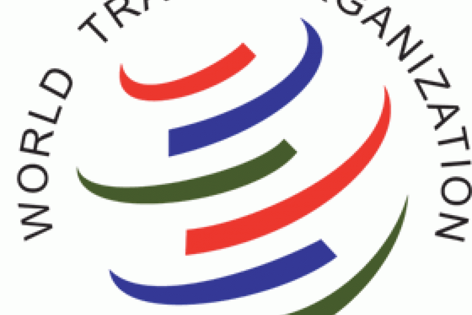 Russland ist zum vollwertigen WTO-Mitglied geworden | Schmidt & Schmidt