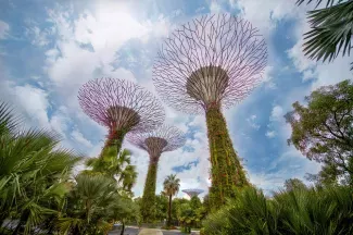Singapur bereitet die Einführung einer elektronischen Online-Apostille vor