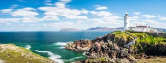 Führungszeugnis in Irland: Beschaffung, Apostille und Legalisation