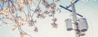 TR ZU 020/2011 Über die elektromagnetische Verträglichkeit